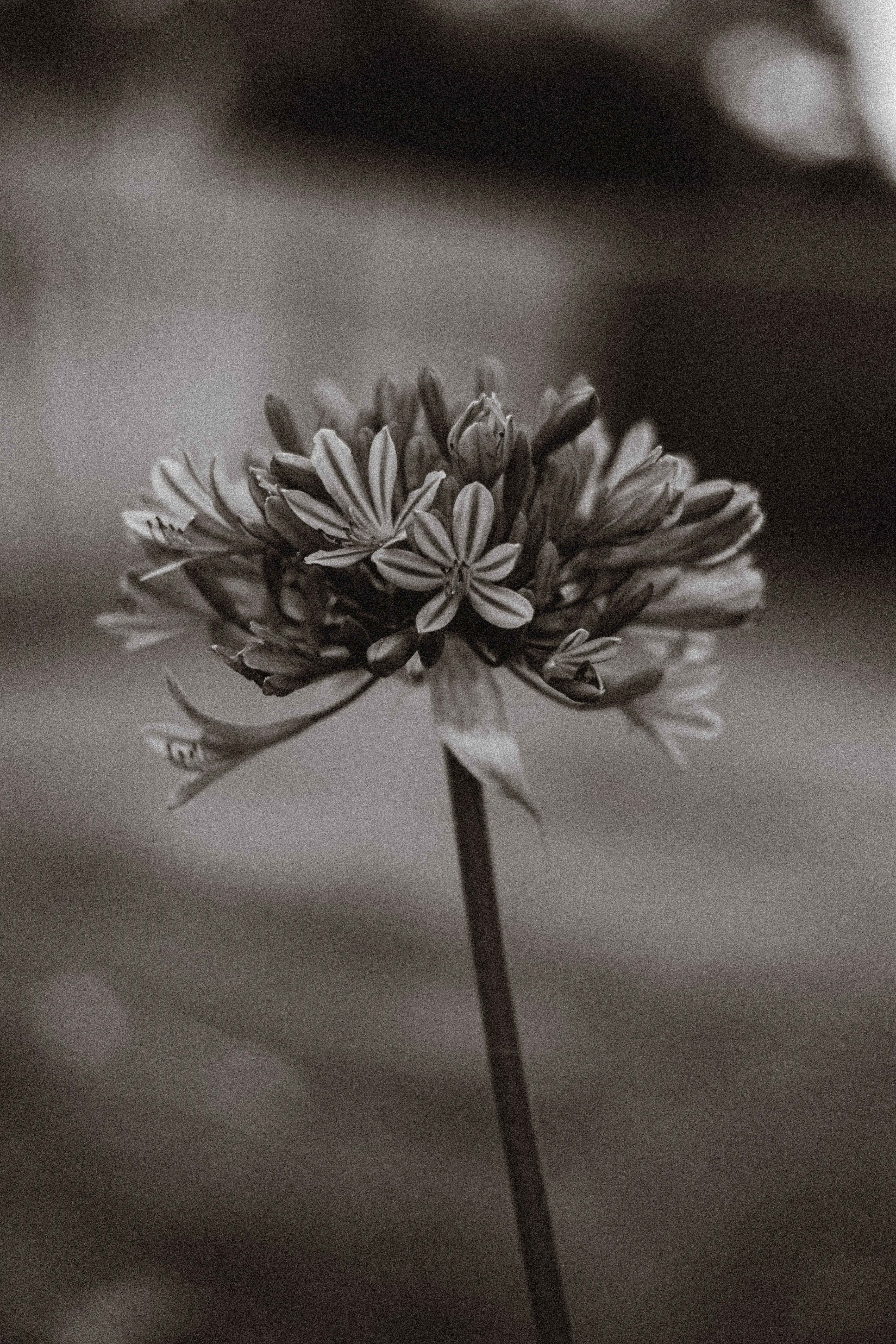 Work Image 26