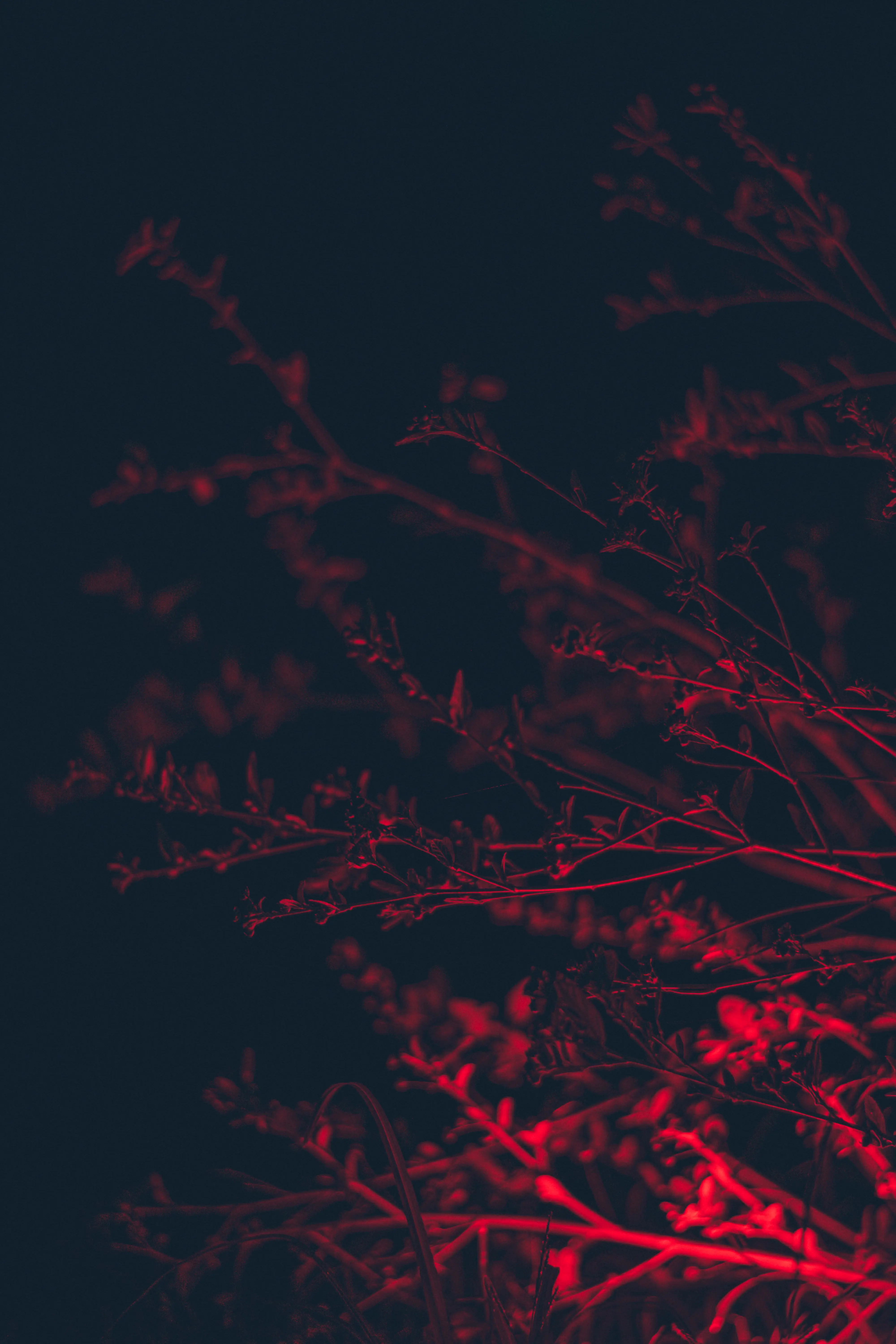 Work Image 27