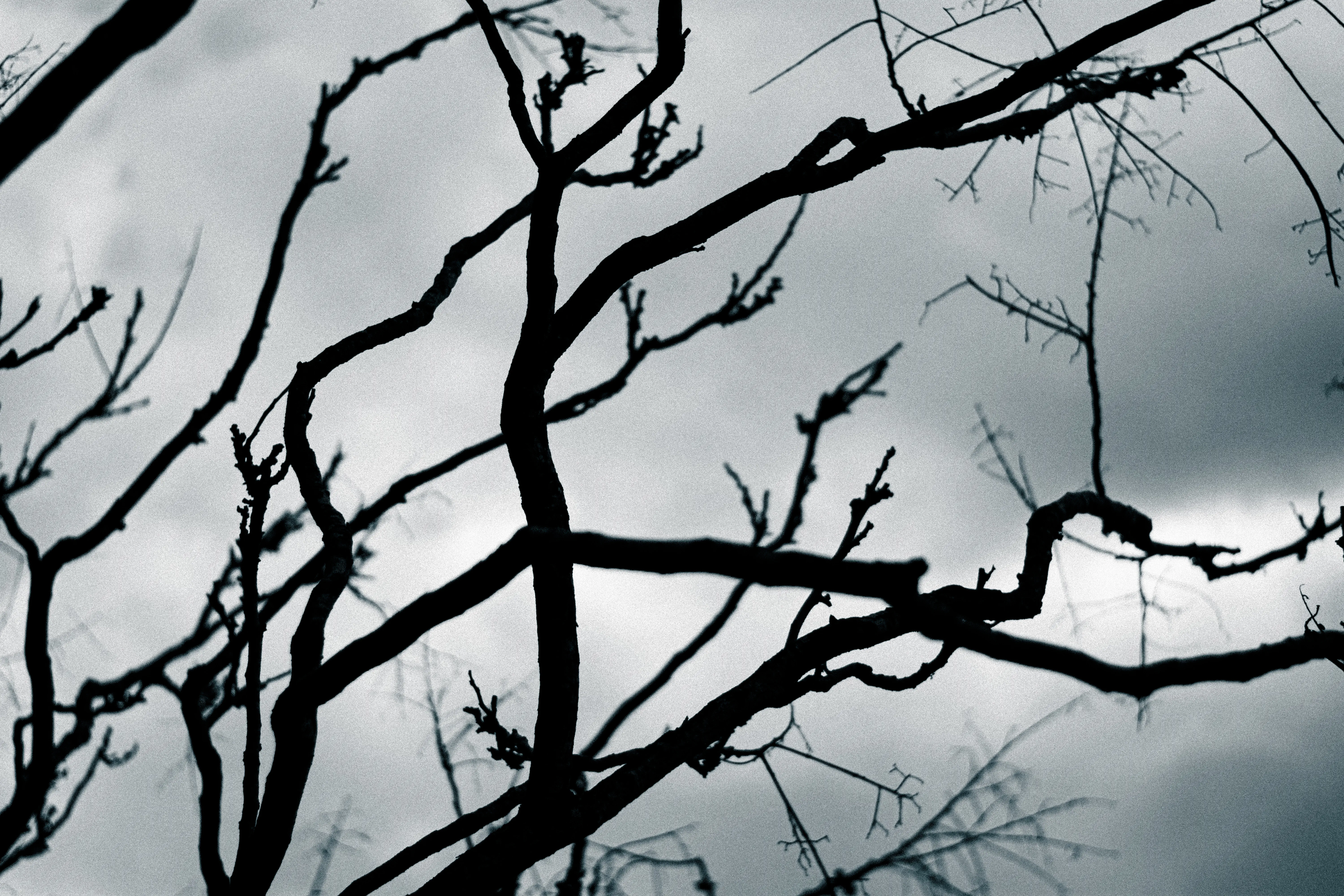Work Image 34