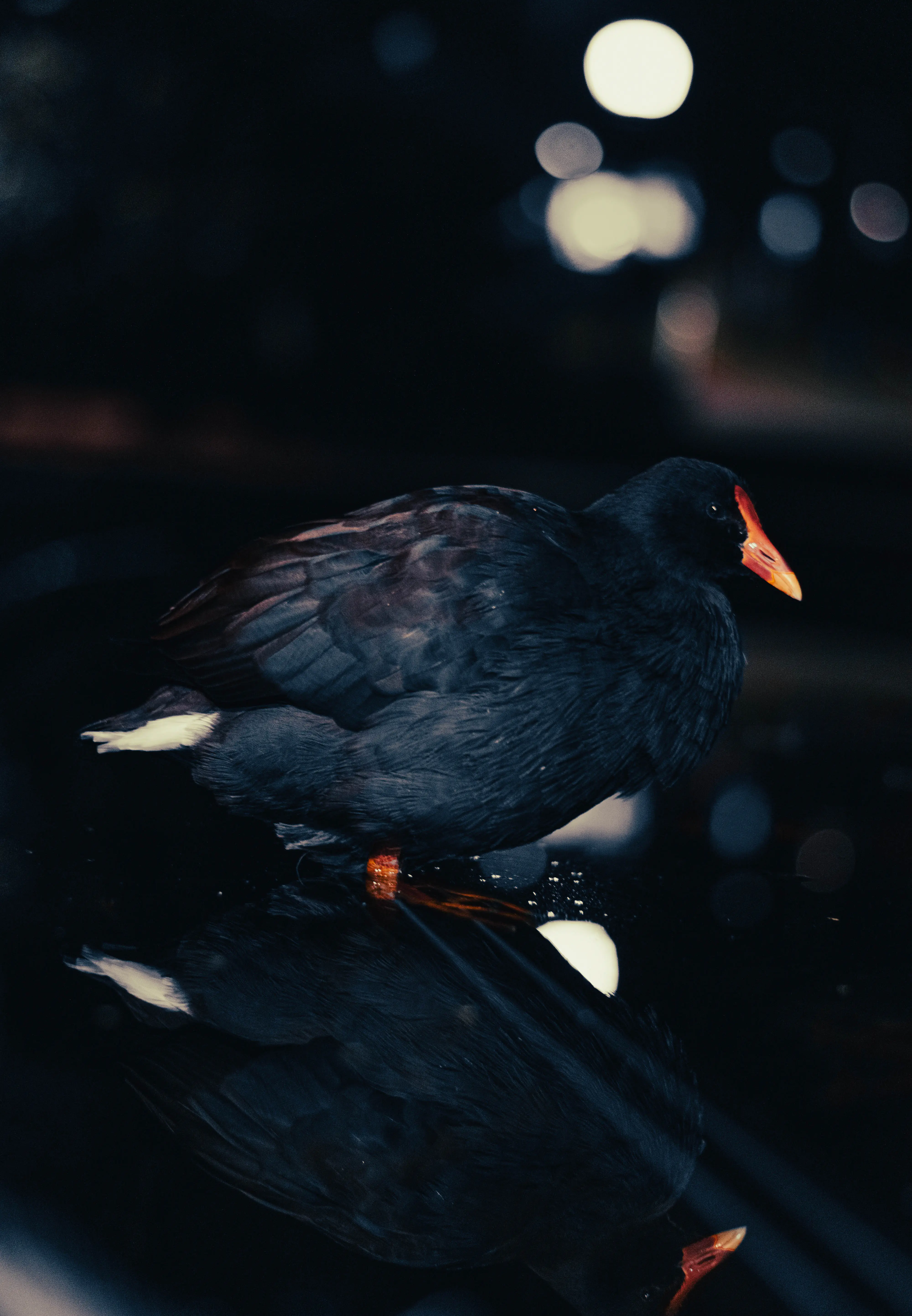 Work Image 42