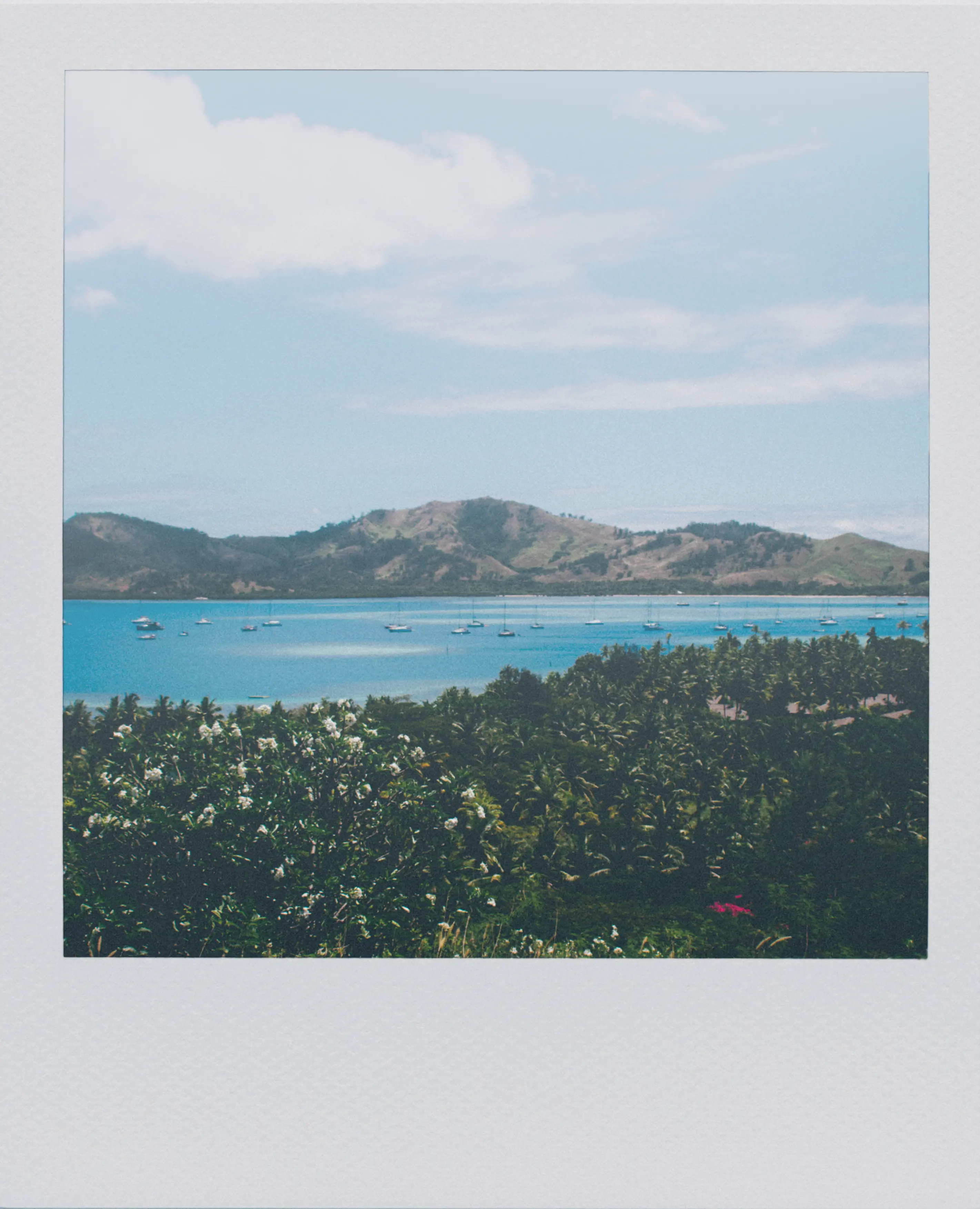 Work Image 61